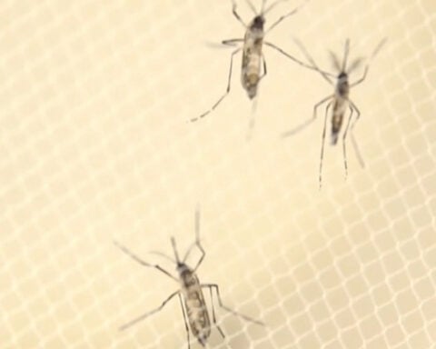 Georgia reports first West Nile virus death of 2026; 8 confirmed cases