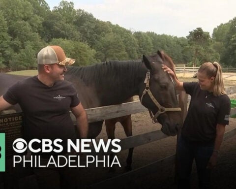 New Jersey family-owned ranch offers 2nd chance for horses: "Directly saved from slaughter"