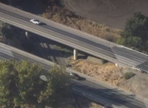 Parents arrested after 7-day-old baby found living under I-5 overpass
