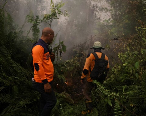 Indigenous, civil-society groups sue Prabowo over forest fire response