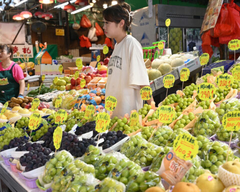 Asia’s fruit wars: The secretive world of plant invention and seed smuggling