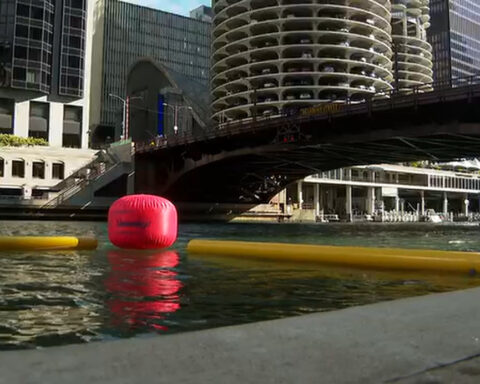 "Big Jump" kicks off second annual Chicago River Swim weekend