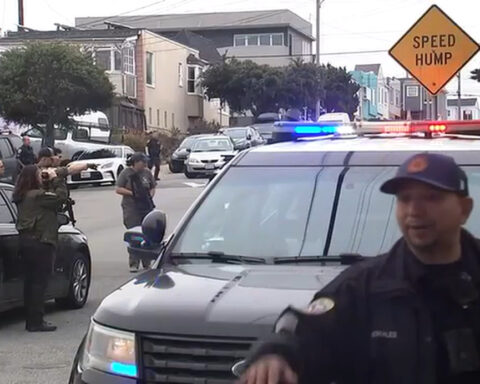 Mountain lion captured in dramatic standoff after roaming San Francisco's Outer Sunset neighborhood