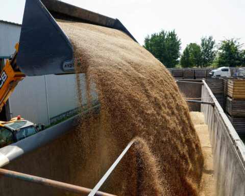 Wheat buyers brace for higher costs as Russia-Ukraine war drags on