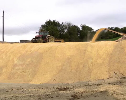 Farmers face record diesel prices as harvest season begins