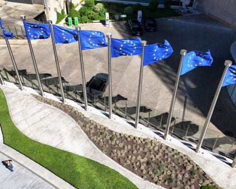 EU could recoup third of US economic lead with bigger firms, ECB says
