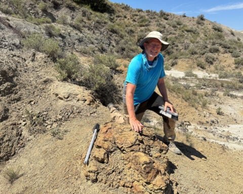 A teacher spotted two unusually large footprints. They turned out to be a first for science