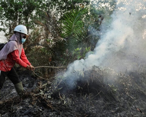 The women volunteers of Borneo battling worst wildfires in 11 years