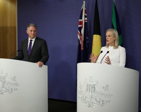 Australia says OpenAI agent hacked government website, checks for more breaches