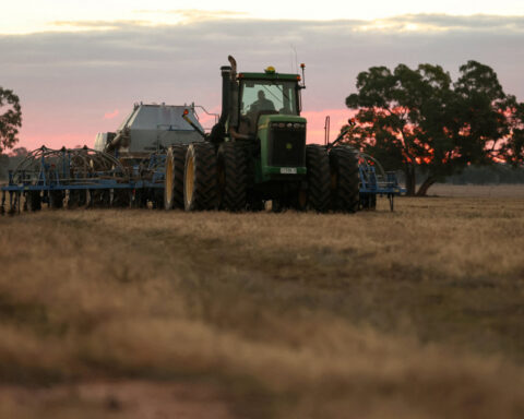 Australia agrees priority visa processing for vital farm workers, industry group says