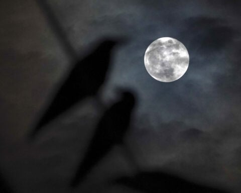 The harvest moon pairs up with Saturn for a 2-for-1 celestial display