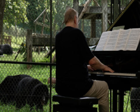 Rock legend Rick Wakeman has a new audience — a crowd of Vietnamese bears