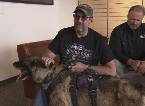 Colorado police officer, K-9 continue recovery after life-changing, line-of-duty stabbing