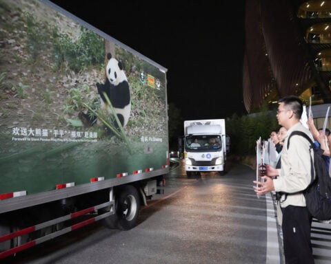 2 giant pandas arrive in Atlanta under a US-China government agreement