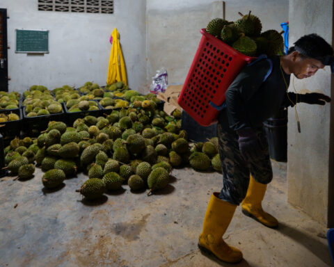 Inside Malaysia's gambit to make its pungent durian the most wanted