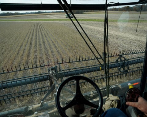 China to cut tariffs on US farm goods, but list excludes soybeans