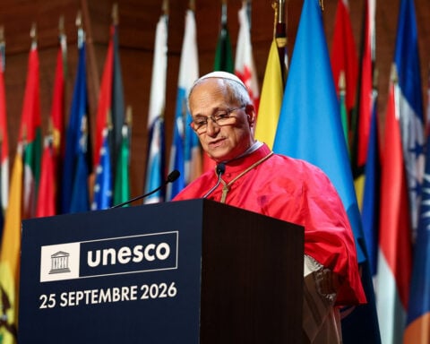 Pope Leo says concerns about AI doom scenarios are not 'fake news'