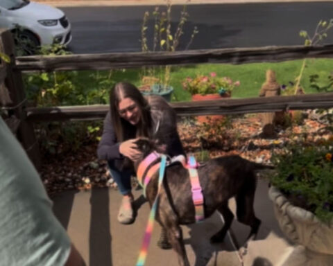 Dog missing for five years reunited with owner in Kansas