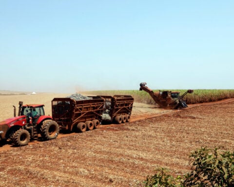 Weather, not price, to drive Brazil mills on sugar production