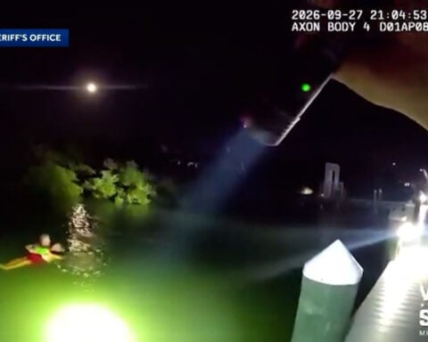 Video: Man in wheelchair rescued after falling into marina