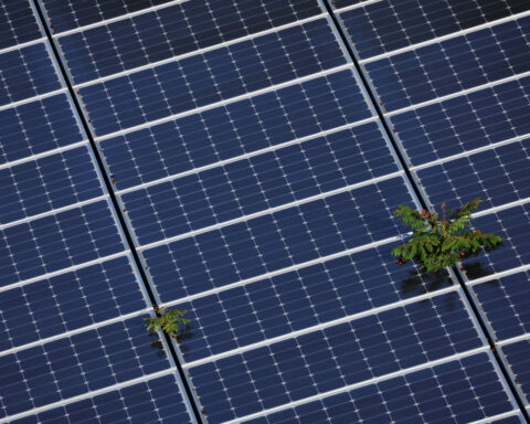 Exus acquires large US solar projects from ibV Energy in data center hot spots Louisiana and Wisconsin