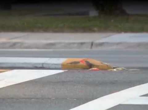 'Haircut on the median' leaves teen injured after crash, police say