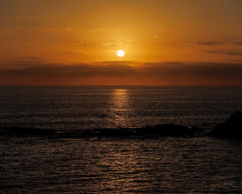 Scientists deliver ‘starkest warning yet’ of profound changes sweeping the planet’s oceans