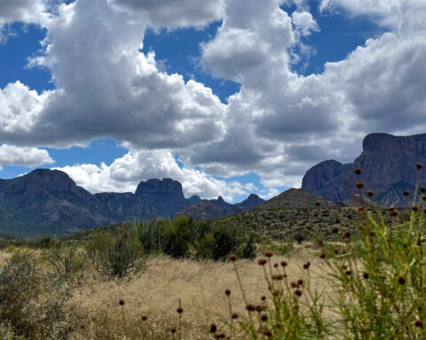 Trump administration considers scaling back border project in Texas' Big Bend National Park