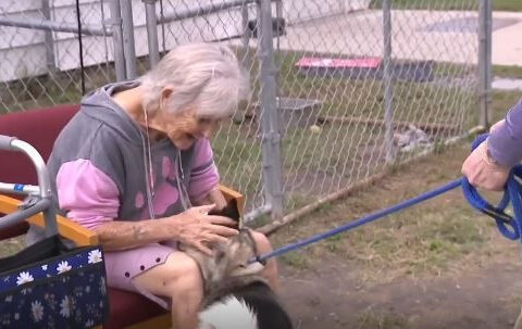 The 'Heart' of the shelter: Longtime volunteer helps push animal shelter to historic no-kill status