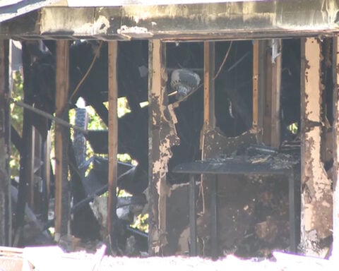 Man poured gasoline in every room before house fire that killed 15 dogs, deputies say