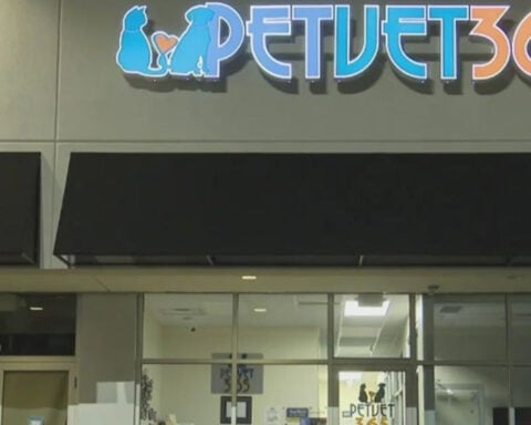 Arrest made after donation box stolen from veterinary hospital in South Hills