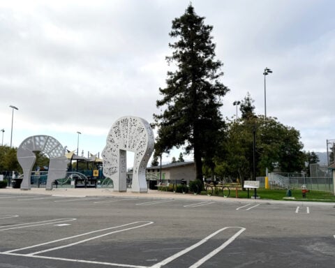 Attorney says woman will plead not guilty in killing of son-in-law at California park