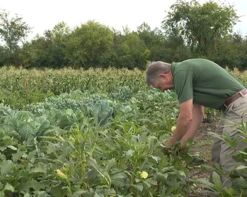A farm is feeling the squeeze of rising gas prices and tariffs