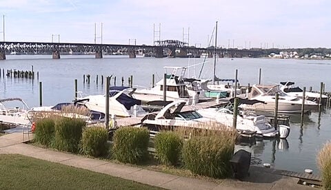 Good Samaritans rescue dogs from drowning in Susquehanna River: 'He was struggling'