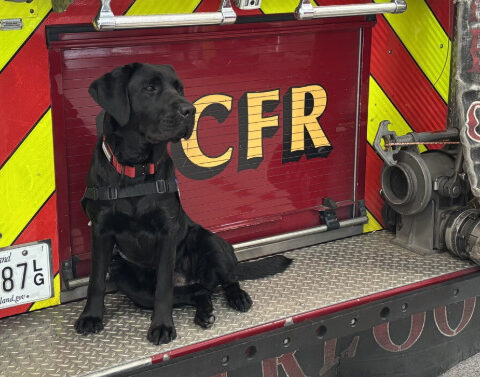 Howard County Fire and Rescue welcomes newest peer support dog, Valor