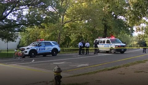 71-year-old man thrown from bike, killed after hitting dog in Central Park