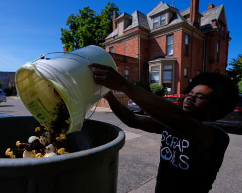 Budding food scrap pickup services across the US want your coffee grounds and eggshells