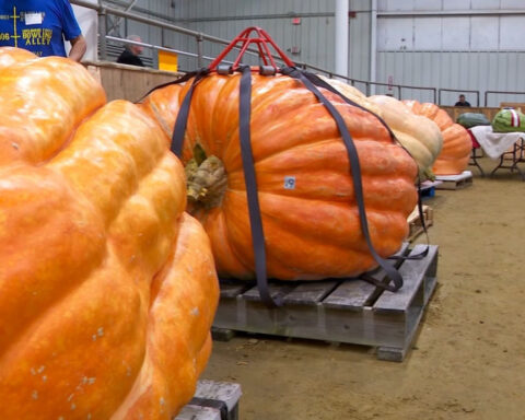 Record-breaking pumpkin kicks off Night 1 at Topsfield Fair