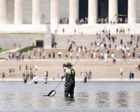 Olympian cleared in vandalism case seeks watchdog probes of Trump's Reflecting Pool project