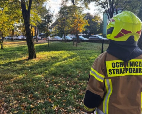 19-year-old student in Poland injures 9 people in a school attack