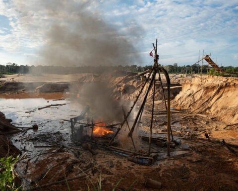 Interpol crackdown on illegal mining, logging and wildlife trafficking leads to 233 arrests
