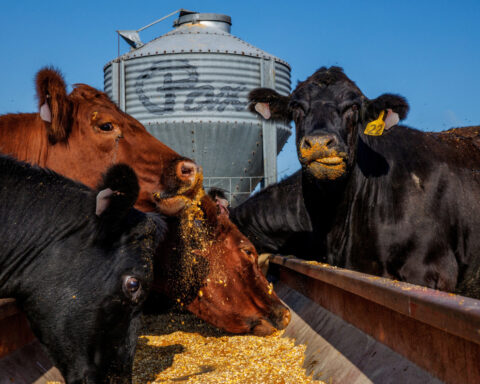 US farm debt is at a record. Official data might be undercounting it