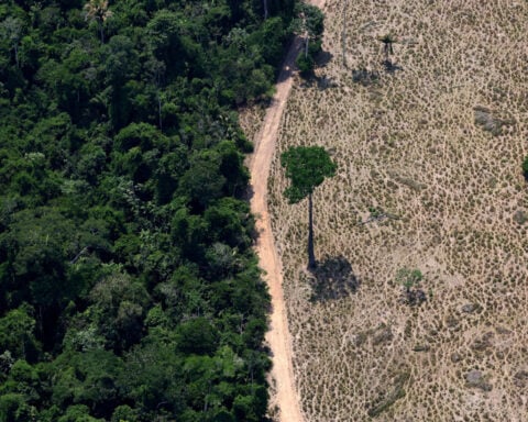 New Brazil Congress poses risk to environmental legislation, campaign group says
