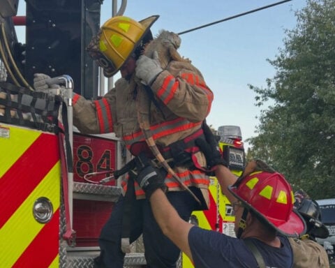 Kansas firefighters rescue pet iguana stuck in tree
