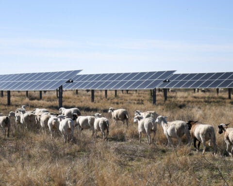New Trump rules will make it harder for farmers to access US funds for energy projects