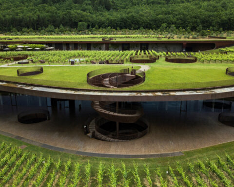 Tuscan winemaker Antinori sees red after $6 million theft