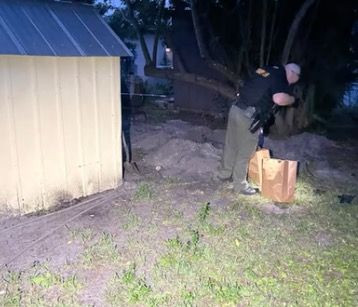 Woman arrested after cats found buried alive in her yard