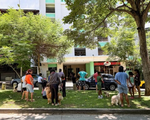 Powerful quake hits Panama, damages homes; canal operations normal