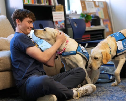 Dogs bring calm and joy to students following shooting at Colorado high school