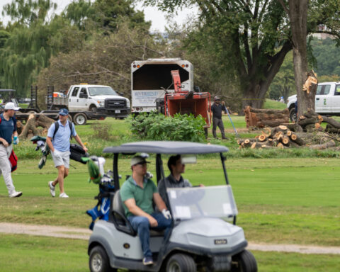 Park service could remove more than 500 trees at historic golf course Trump wants to redesign